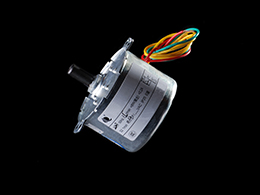 Step motor