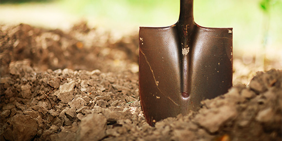 Экологический